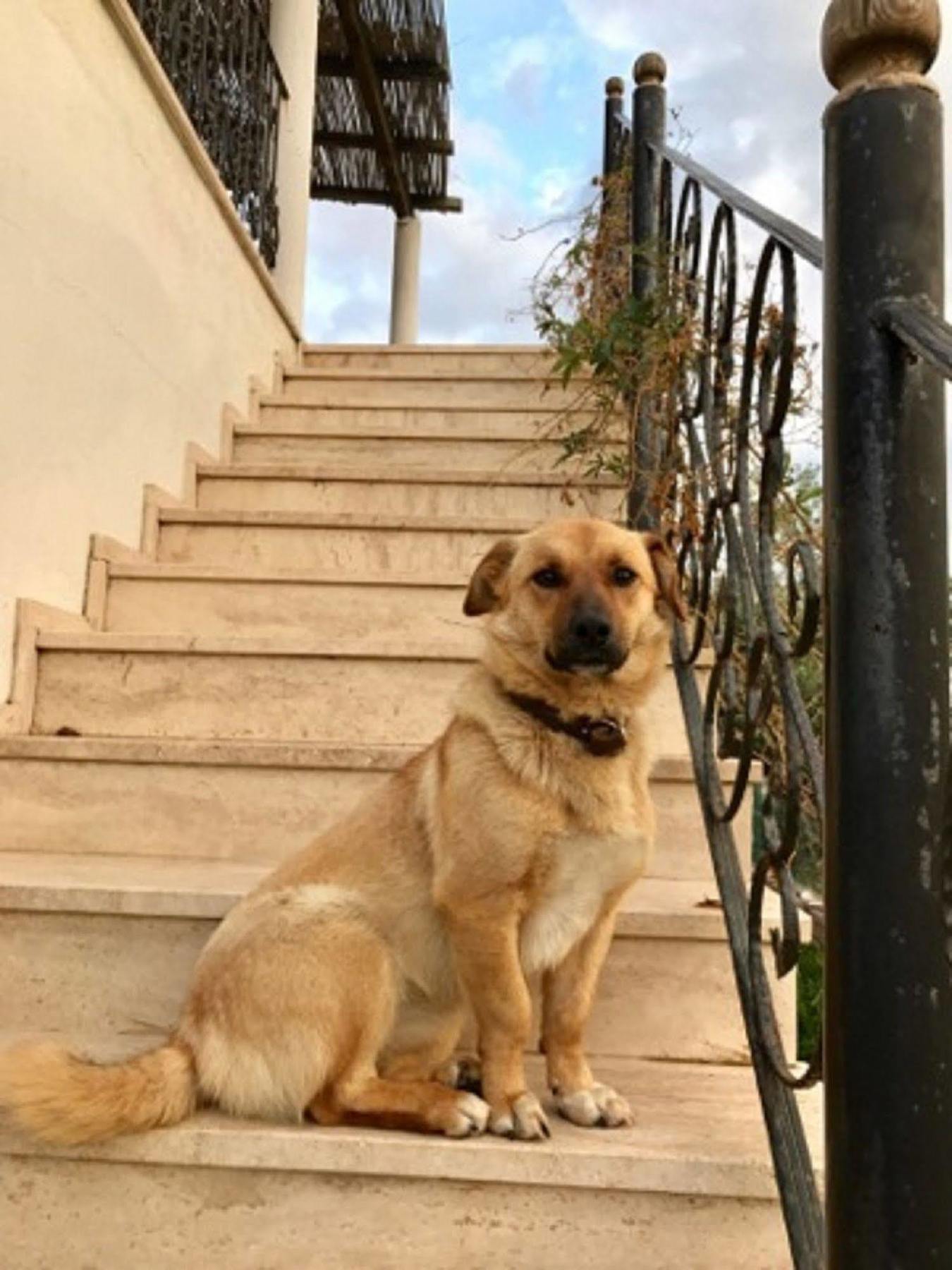 Geyikli Herrara Exterior foto