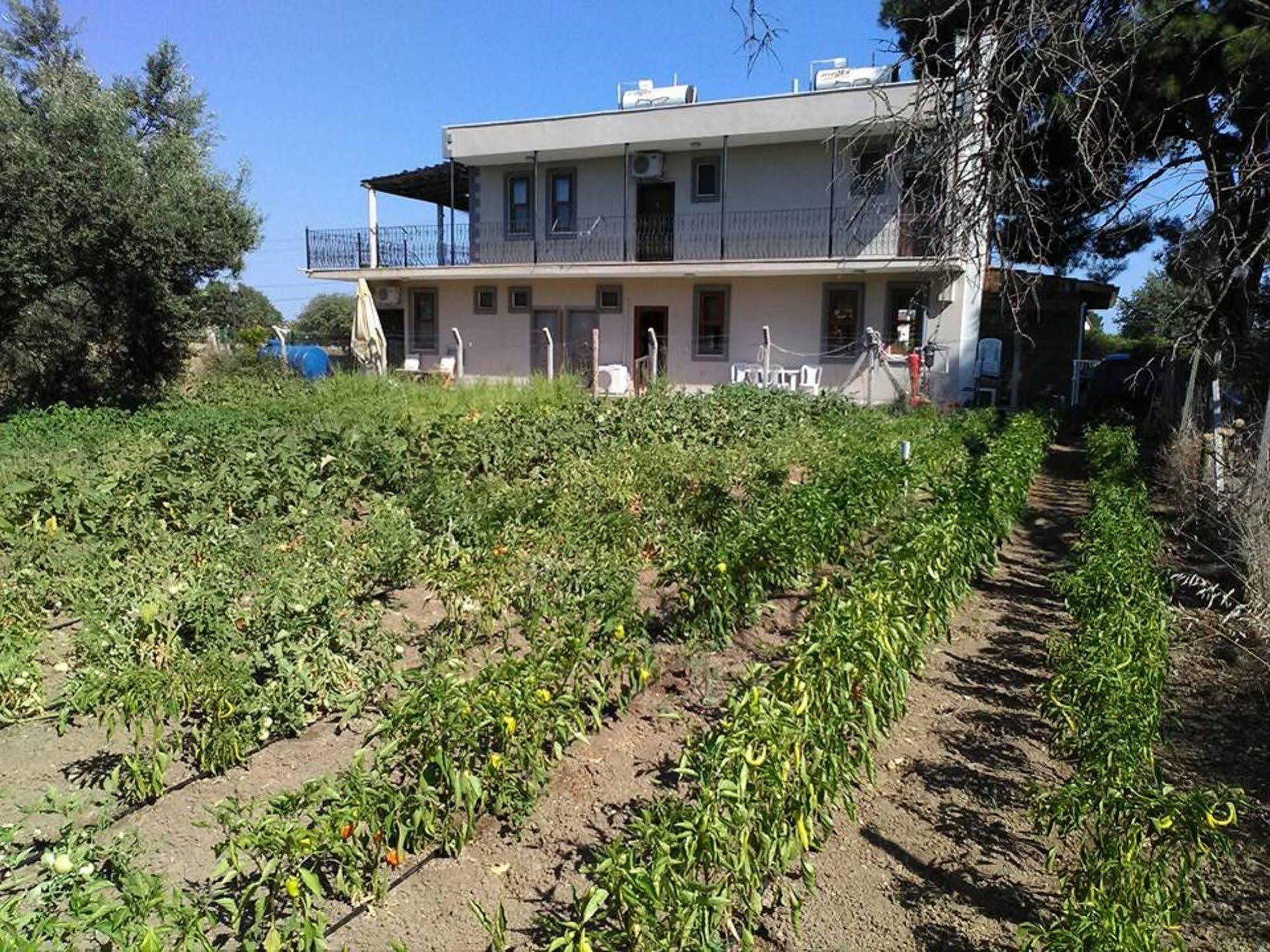 Geyikli Herrara Exterior foto